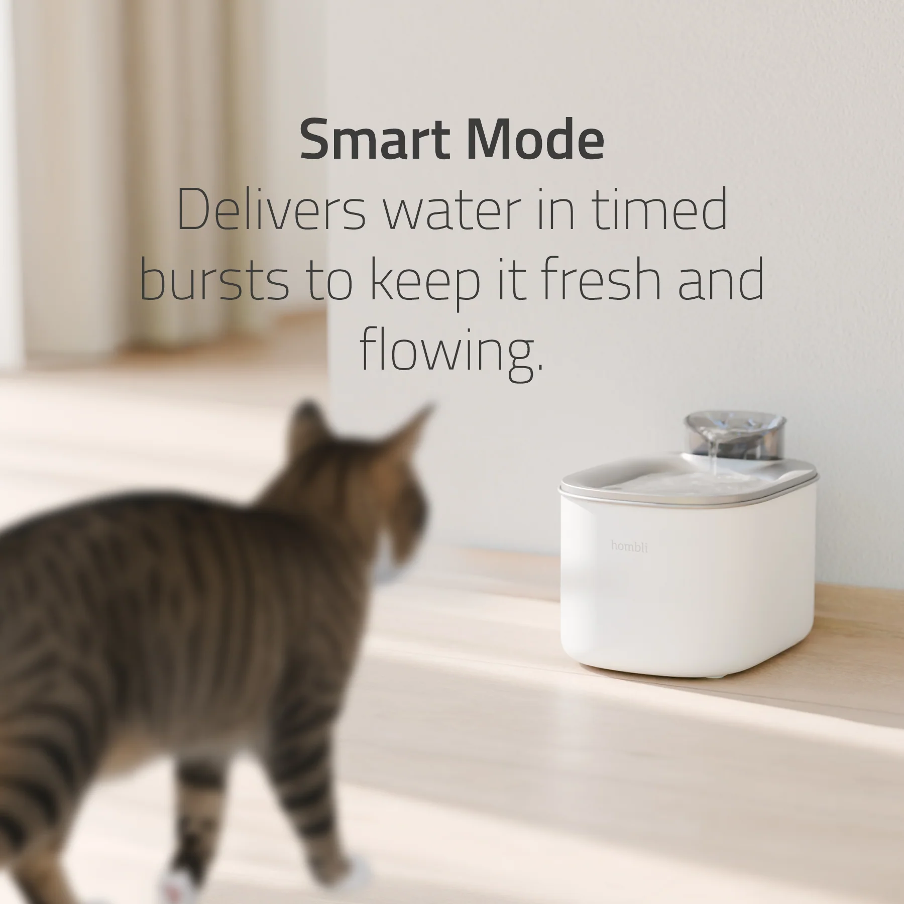 Hombli Smart Pet Fountain - Image 3